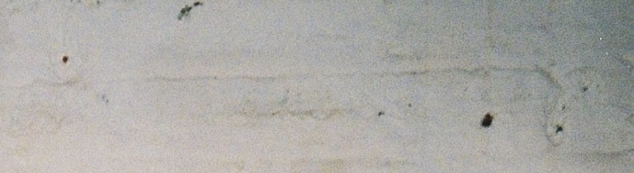 Cover image for Demerara w/ Bella Goth | 10th Novemeber 2025